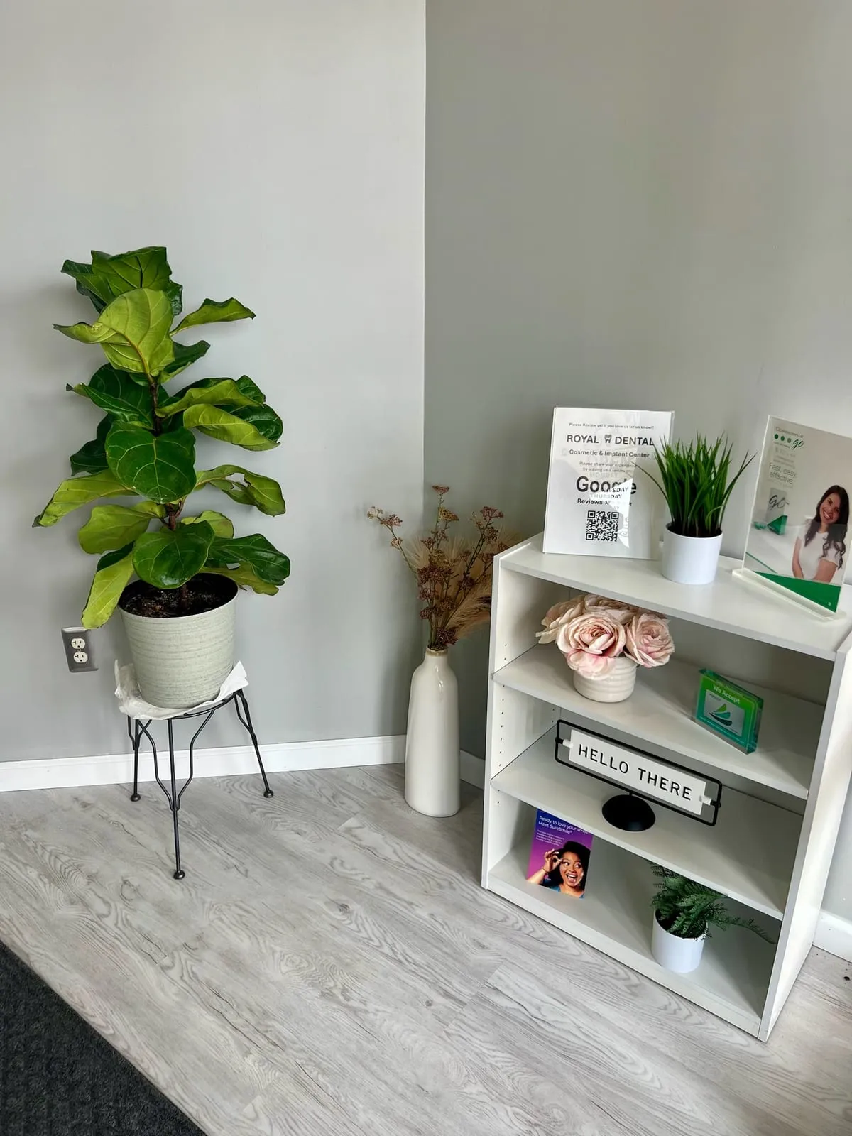 A plant and patient information shelf in the Royal Dental Center reception area
