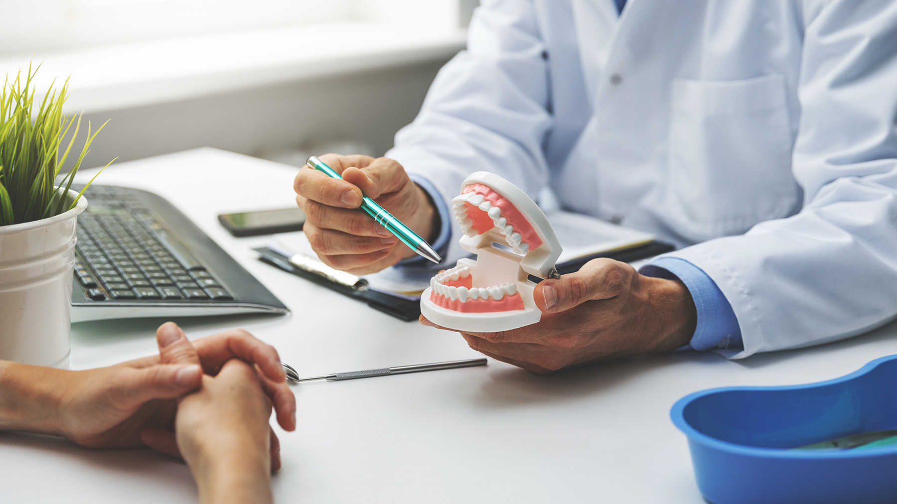 A dental professional examines a model mouth with a patient seated beside them, both in a modern office setting.