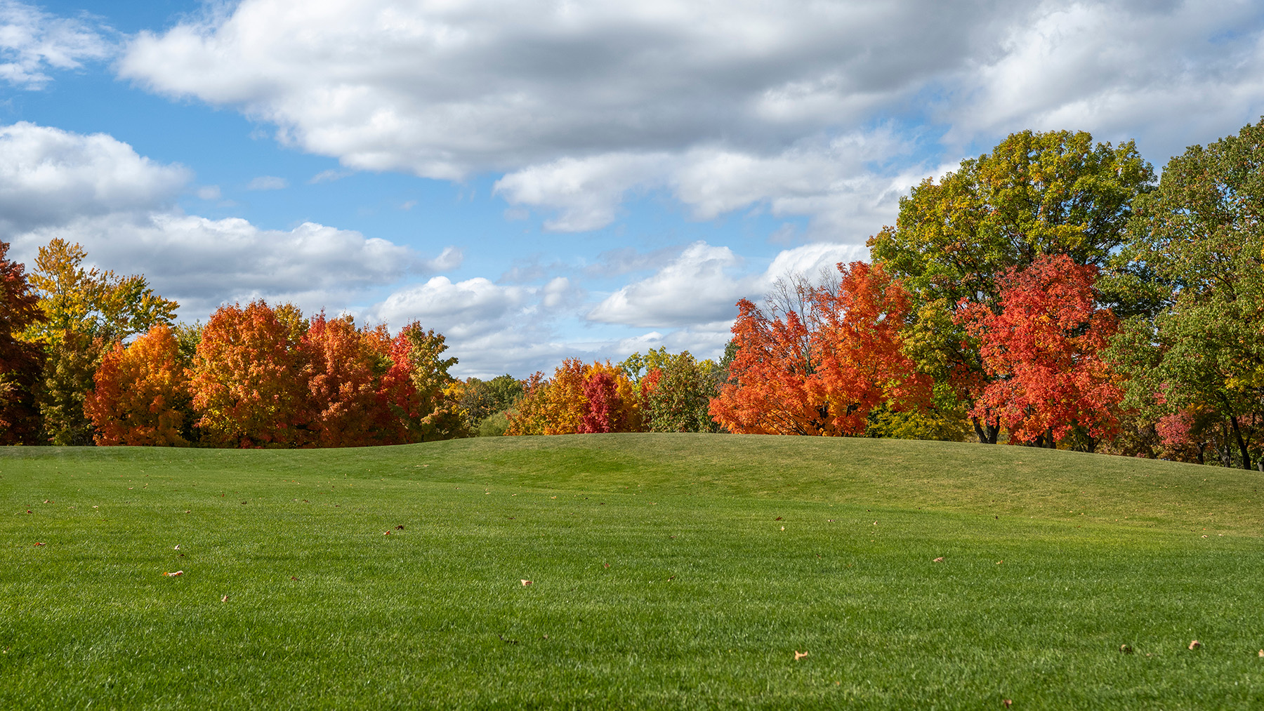 The image captures a serene autumn scene with a lush green lawn in the foreground, flanked by trees adorned with vibrant red and orange leaves, under a clear blue sky.